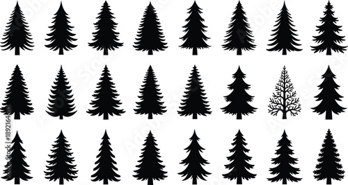 Pine tree silhouette collection, evergreen forest icons set, black conifer trees vector elements isolated on white background for nature design