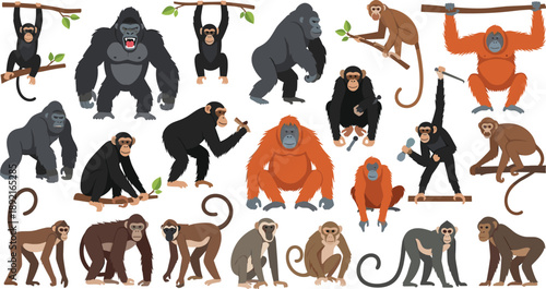 Primate monkey vector illustration set featuring gorillas chimpanzees orangutans and jungle apes in playful poses wildlife animal collection