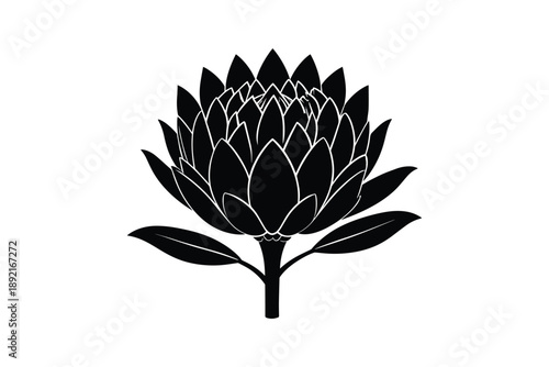Black and white protea flower icon, representing natural beauty and botanical elegance