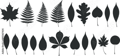 Collection of various leaf silhouettes isolated on transparent background