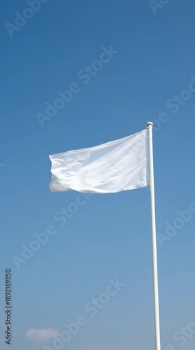 Looped video clip of a fluttering white flag: suitable for politics and diplomacy related footage