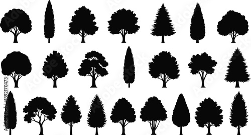 Set of tree silhouettes in various shapes, forest vegetation collection, black vector illustrations, natural landscape elements, isolated on white background