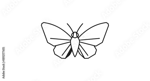 Butterfly illustration on black background conceptual vector