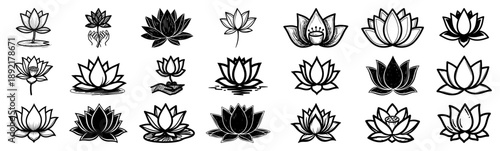 Fotografia Lotus flower outline icons set collection