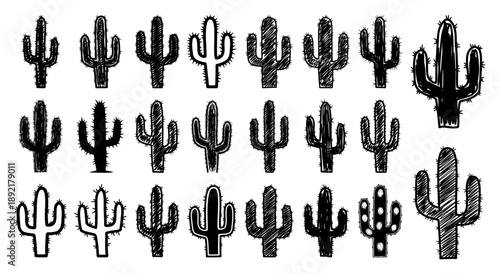 Hand drawn cactus collection in black and white engraving style
