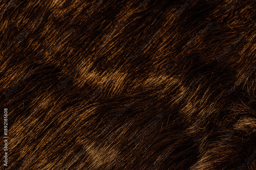 Ταπετσαρία Detailed background of soft dark brown animal fur material with gentle texture a