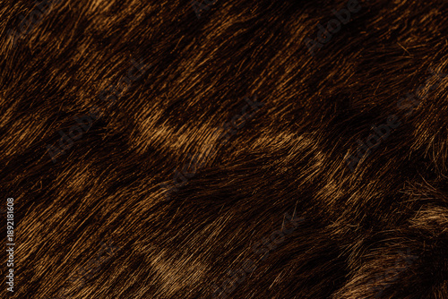 Foto Detailed background of soft dark brown animal fur material with gentle texture a