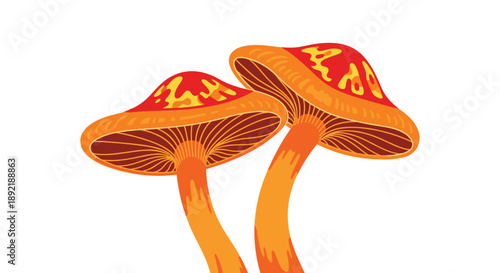 Vibrant illustration of two orange and yellow mushrooms with a psychedelic or fantasy appearance, isolated on a white background.