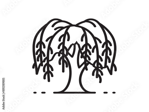 Minimalist willow tree line art