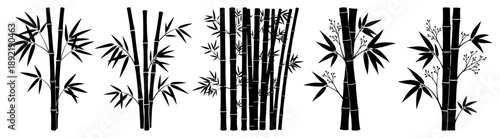 Set of black and white silhouettes of bamboo stalks and leaves for decorative design