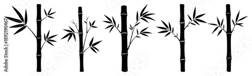 Black bamboo stalks and leaves silhouettes collection in minimalist style