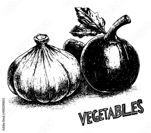 Hand drawn vintage still life illustration of garlic and pumpkin vegetables