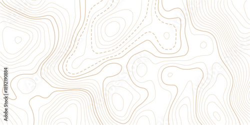 Abstract topo contour map on white background, Topographic map Topographic contour lines map seamless pattern.Design illustration for wall art, fabric, packaging, web, banner, wallpaper.
