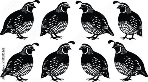Stylized Black and White Vector Illustration of Quails in Profile View with Distinctive Feather Patterns and Head Plumes for Wildlife and Nature Design Themes