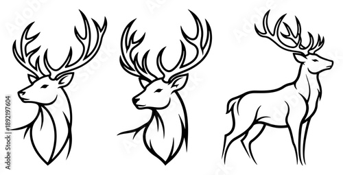 Elegant deer heads and standing stag with antlers line art illustration
