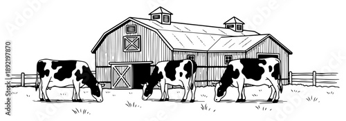 Rural farm landscape featuring grazing cows and large wooden barn in vintage style