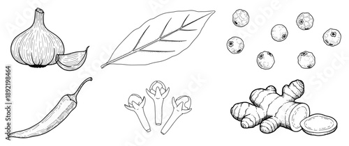Hand drawn sketch style kitchen spices and herbs collection