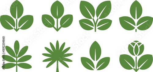 Green leaf in various shapes and sizes on white background green leaves leaf plant symbols botanical nature leaf shapes