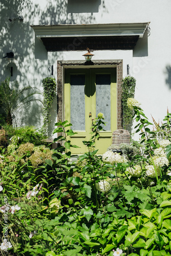 Green garden entrance with hydrangea flowers for landscaping and home exterior design concept