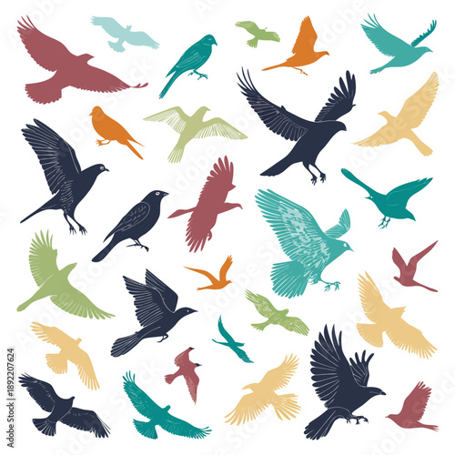 Colorful birds in various poses flying in different directions against a clean background from a direct viewpoint
