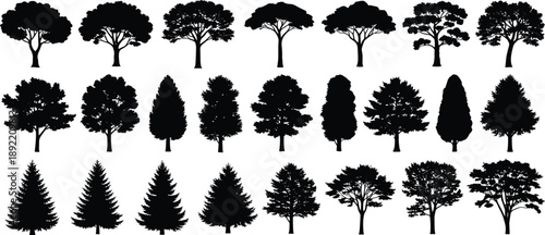 Collection, of, black, silhouettes, featuring, various, trees, including, pine, spruce, oak, and, leafy, species, for, nature, forest, landscape, and, design.