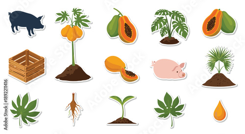 Farming and agriculture sticker set showcasing pigs, papaya fruit, tropical plants, a wooden crate, and stages of plant growth.