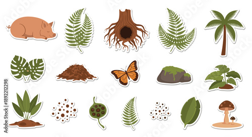 A charming forest floor sticker collection with a sleeping pig, a butterfly, ferns, mossy rocks, and various types of seeds.