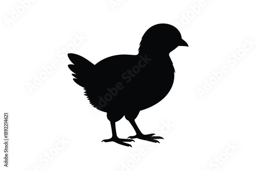 Silhouette of a small chick standing facing right against white background