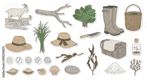 A hand-drawn collection of coastal foraging items, including seaweed, shells, a goat, and rustic gear like a hat and basket.