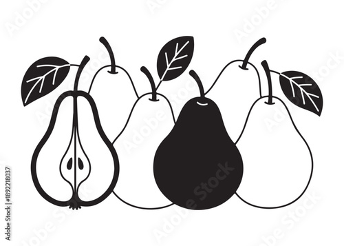 Black and white pears illustration with whole and half fruit vector isolated on white