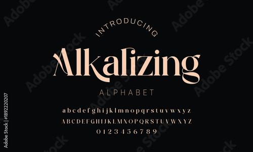 Elegant ligature alphabet letters font logo. Typography luxury classic lettering serif fonts decorative wedding vintage retro logos, design for fashion,beauty shop and brand . vector illustration