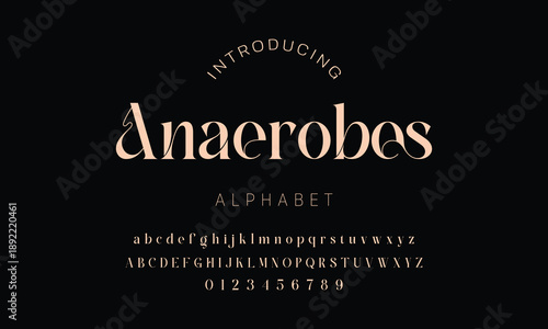 Elegant ligature alphabet letters font logo. Typography luxury classic lettering serif fonts decorative wedding vintage retro logos, design for fashion,beauty shop and brand . vector illustration