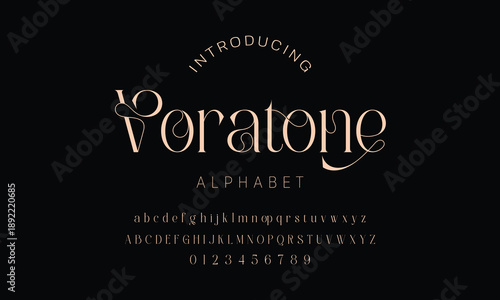 Elegant ligature alphabet letters font logo. Typography luxury classic lettering serif fonts decorative wedding vintage retro logos, design for fashion,beauty shop and brand . vector illustration