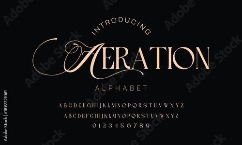 Elegant ligature alphabet letters font logo. Typography luxury classic lettering serif fonts decorative wedding vintage retro logos, design for fashion,beauty shop and brand . vector illustration
