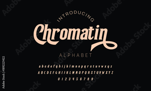 Elegant ligature alphabet letters font logo. Typography luxury classic lettering serif fonts decorative wedding vintage retro logos, design for fashion,beauty shop and brand . vector illustration