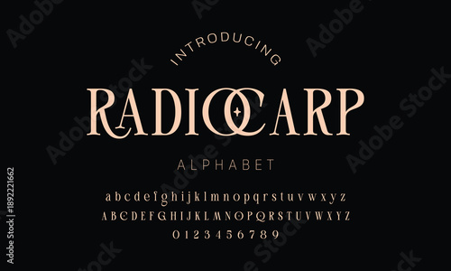 Elegant ligature alphabet letters font logo. Typography luxury classic lettering serif fonts decorative wedding vintage retro logos, design for fashion,beauty shop and brand . vector illustration