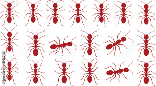 Collection of ant silhouettes and insect icon graphics, red bug symbols for scientific study, biology lessons, pest control design resources