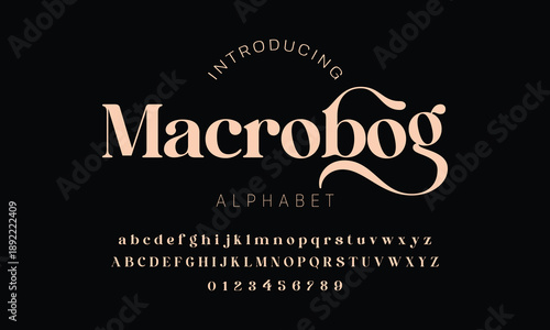 Elegant alphabet beauty logo font. Classic Modern luxury Serif Minimal Fashion. Typography decoration logotype fonts, wedding, logos. vector illustration