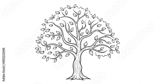Large deciduous tree with detailed leaves and roots line art