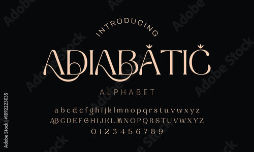 Elegant alphabet beauty logo font. Classic Modern luxury Serif Minimal Fashion. Typography decoration logotype fonts, wedding, logos. vector illustration