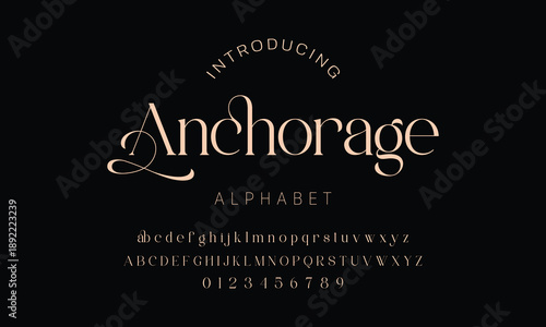 Elegant alphabet beauty logo font. Classic Modern luxury Serif Minimal Fashion. Typography decoration logotype fonts, wedding, logos. vector illustration