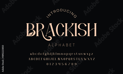 Elegant alphabet beauty logo font. Classic Modern luxury Serif Minimal Fashion. Typography decoration logotype fonts, wedding, logos. vector illustration
