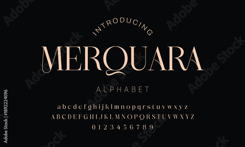 Elegant alphabet beauty logo font. Classic Modern luxury Serif Minimal Fashion. Typography decoration logotype fonts, wedding, logos. vector illustration