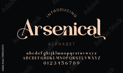 Elegant alphabet beauty logo font. Classic Modern luxury Serif Minimal Fashion. Typography decoration logotype fonts, wedding, logos. vector illustration