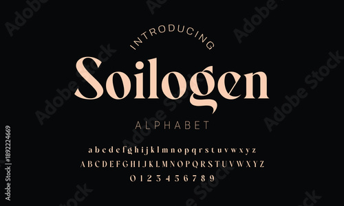 Elegant alphabet beauty logo font. Classic Modern luxury Serif Minimal Fashion. Typography decoration logotype fonts, wedding, logos. vector illustration