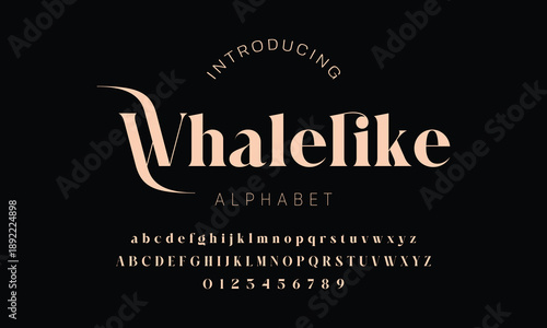 Elegant alphabet beauty logo font. Classic Modern luxury Serif Minimal Fashion. Typography decoration logotype fonts, wedding, logos. vector illustration