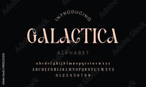 Elegant alphabet beauty logo font. Classic Modern luxury Serif Minimal Fashion. Typography decoration logotype fonts, wedding, logos. vector illustration