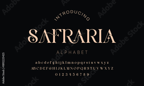 Elegant alphabet beauty logo font. Classic Modern luxury Serif Minimal Fashion. Typography decoration logotype fonts, wedding, logos. vector illustration