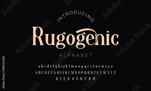 Elegant alphabet beauty logo font. Classic Modern luxury Serif Minimal Fashion. Typography decoration logotype fonts, wedding, logos. vector illustration