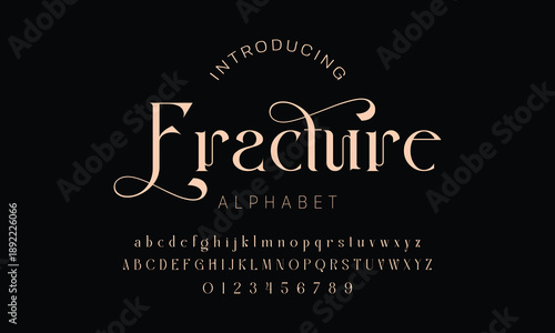 Elegant alphabet beauty logo font. Classic Modern luxury Serif Minimal Fashion. Typography decoration logotype fonts, wedding, logos. vector illustration